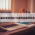 大鹏蔬菜赚钱吗?大鹏蔬菜赚钱吗现在